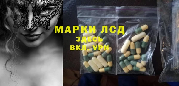 индика Пестово