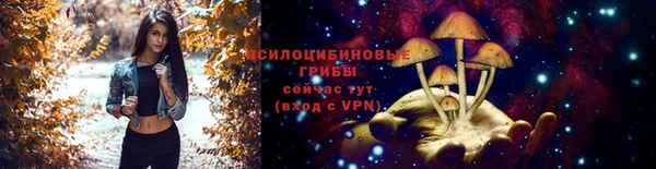 индика Пестово
