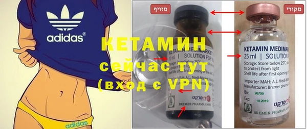 индика Пестово