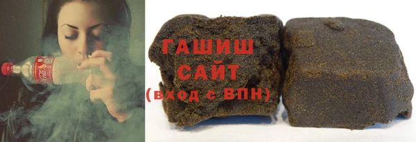 индика Пестово