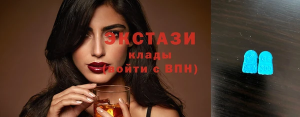 индика Пестово