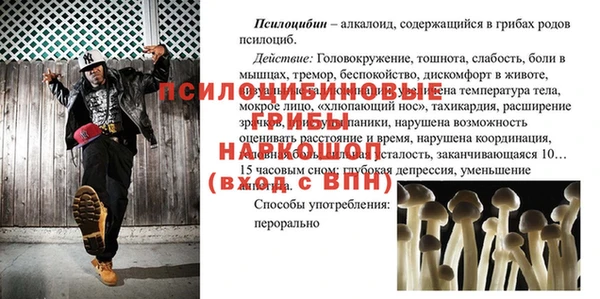 индика Пестово