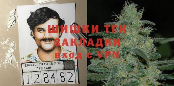 индика Пестово
