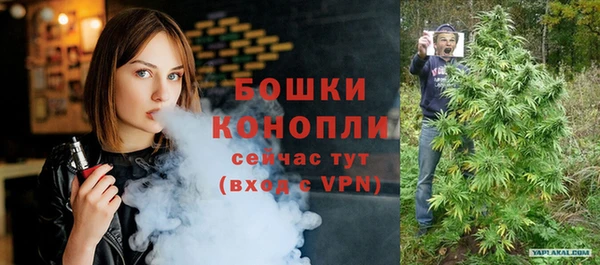 индика Пестово