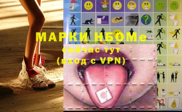 индика Пестово