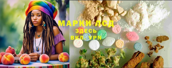 индика Пестово