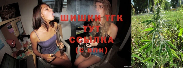 индика Пестово