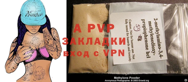 индика Пестово