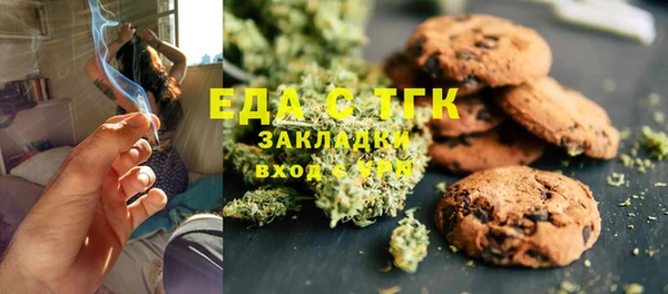индика Пестово
