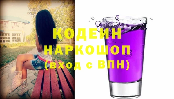 индика Пестово