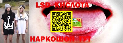 круглые Заводоуковск