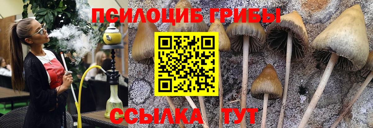 Галлюциногенные грибы Cubensis  Галлюциногенные грибы Cubensis  Вход с VPN  купить наркотики сайты  Краснокаменск 