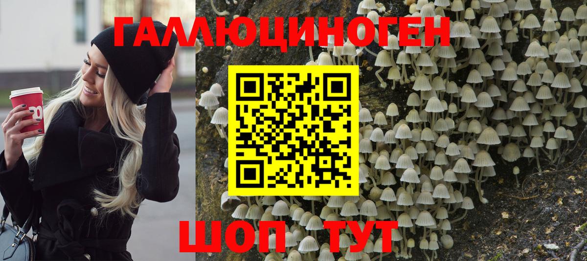 Галлюциногенные грибы прущие грибы Краснокаменск